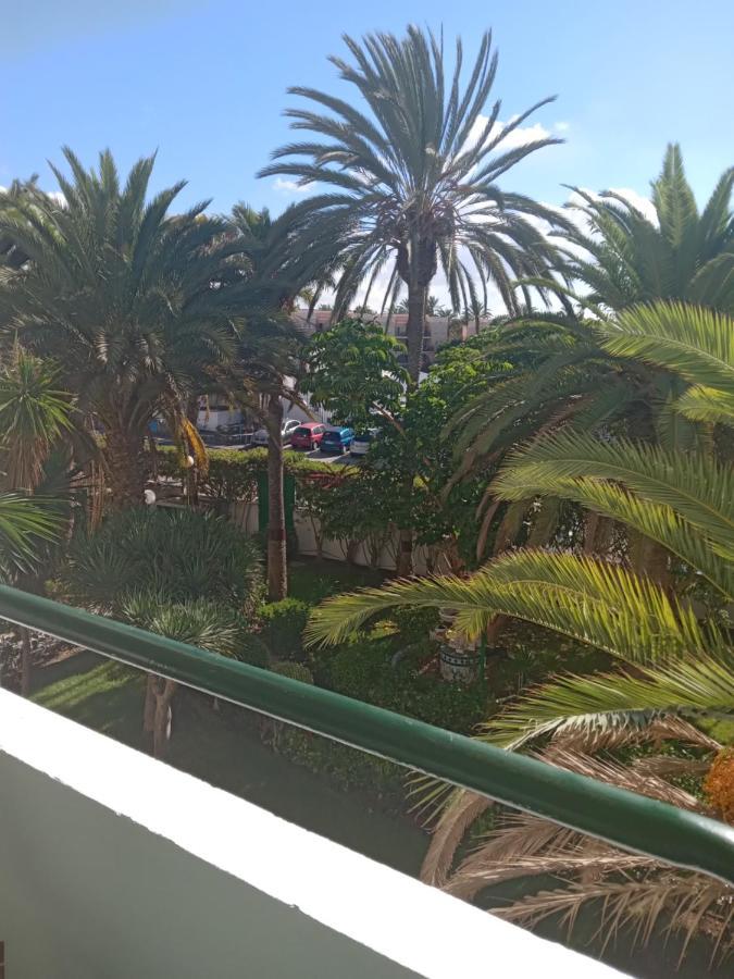 Surycan Tropical Garden Apartment Πλάγια ντελ Ινγκλές Εξωτερικό φωτογραφία