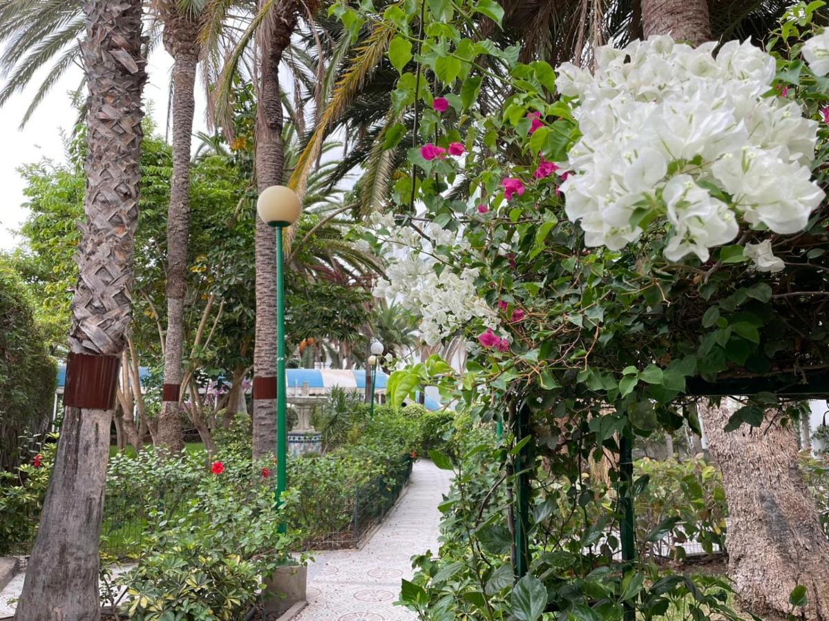 Surycan Tropical Garden Apartment Πλάγια ντελ Ινγκλές Εξωτερικό φωτογραφία