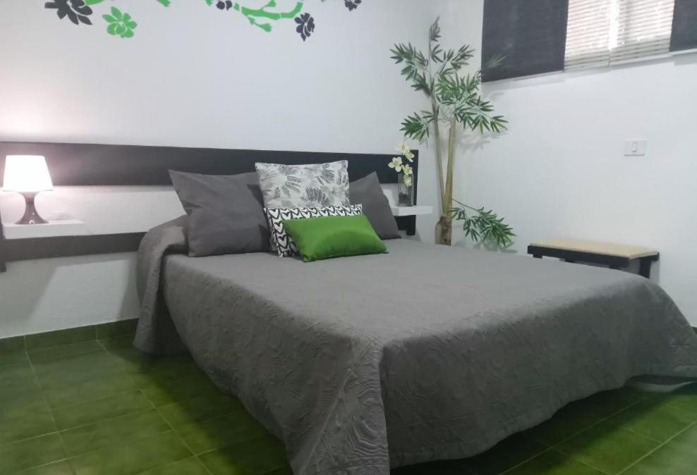 Surycan Tropical Garden Apartment Πλάγια ντελ Ινγκλές Εξωτερικό φωτογραφία
